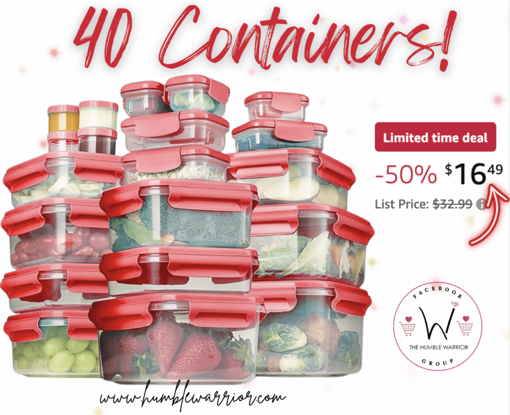 40-ct FineDine Food Storage Containers With Lids!